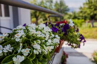 Апартаменты Apartments Heaven Цетине Апартаменты с балконом-1