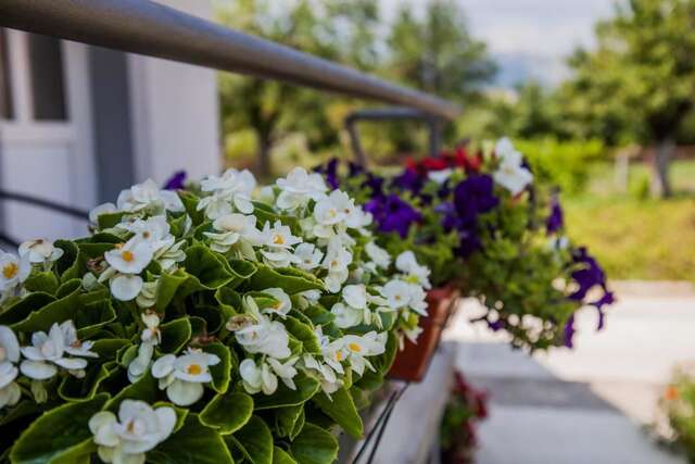 Апартаменты Apartments Heaven Цетине-9